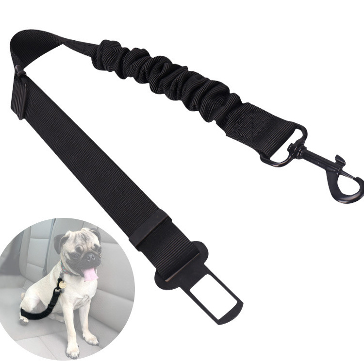 Best Dog Leash Dog Harness Leash off Leash Training