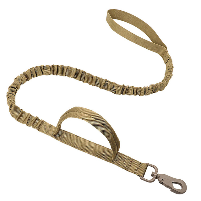 Harness Leash Training Leash Leash Dog