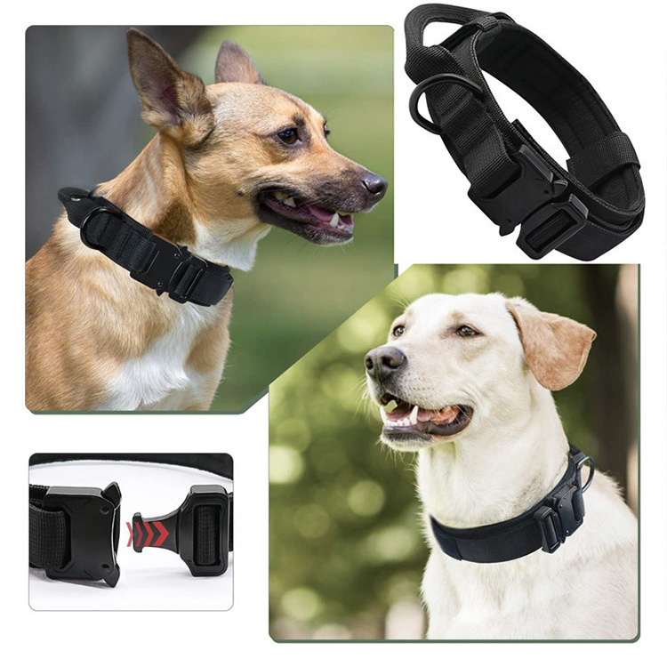 Pet Collar Light Pet Collars Pets Dog Collars