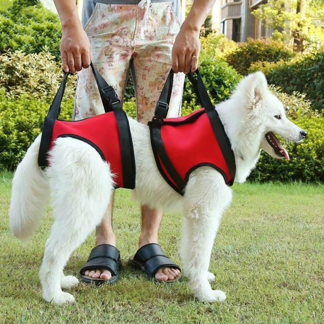 Pet Life Vest Military Vest Pet Vest