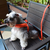 Pet Suede Chest Harness Pet Chest Tactical