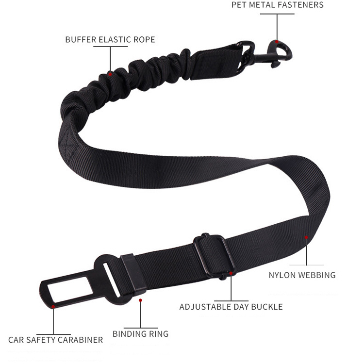 Best Dog Leash Dog Harness Leash off Leash Training