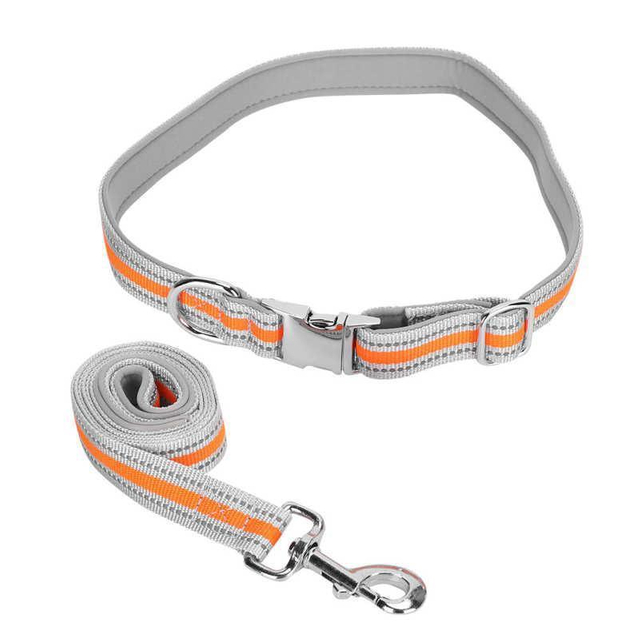 Custom Pet Leash Pet Leash Free Pet Leash Reflective