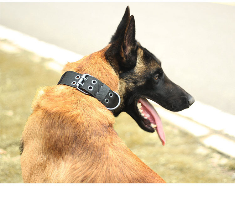 Pet Recovery Collars Wholesale Waterproof Pet Collars