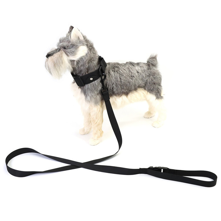 Tactical Hands Free Dog Leash