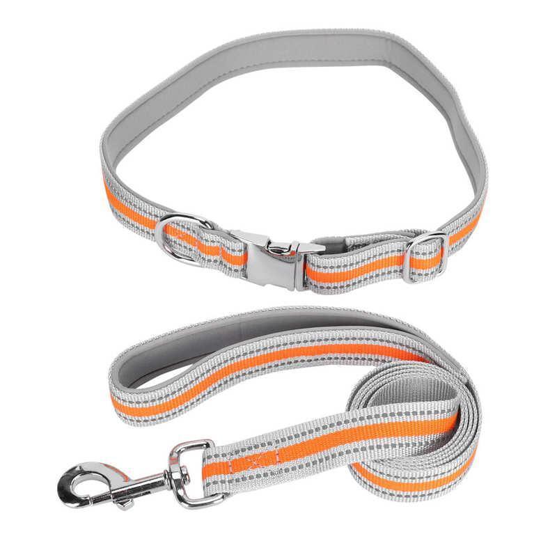 Multiple Pet Leash Pet Dog Gear Leash