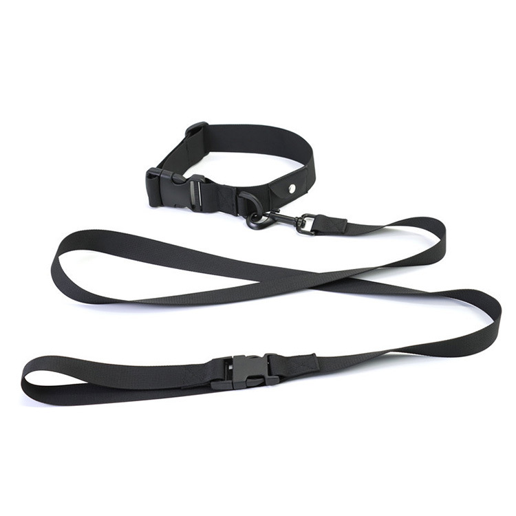 Tactical Hands Free Dog Leash