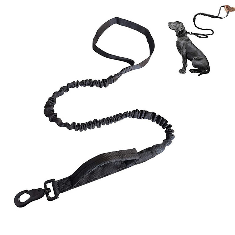 Dog Collar Dog Harness Dog Leash