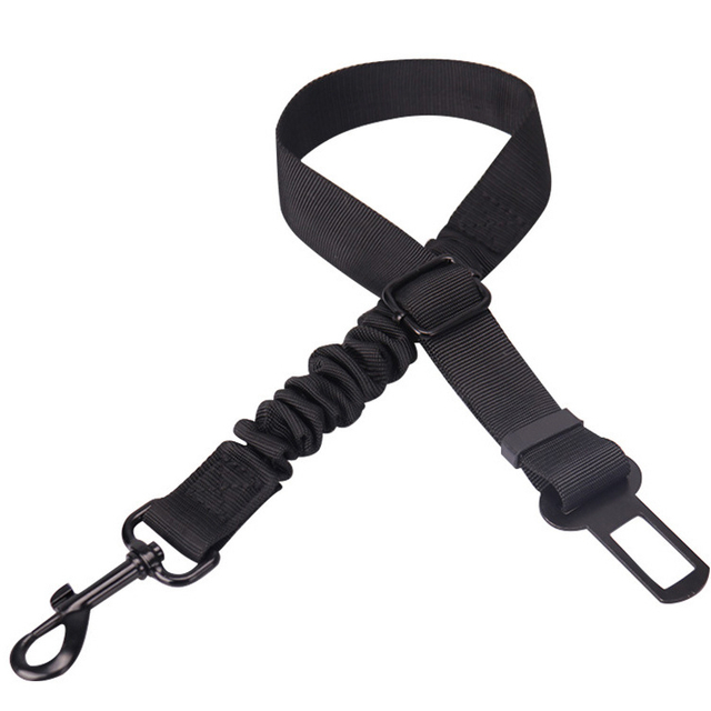 Best Dog Leash Dog Harness Leash off Leash Training